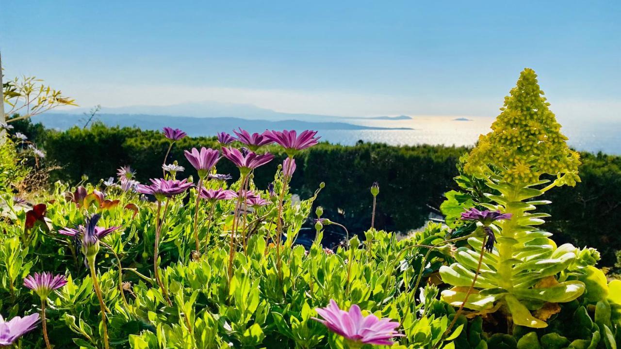 Vue Mer Panoramique Et Piscine Bandol Exterior photo